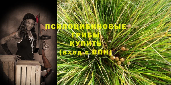 apvp Аркадак