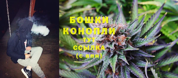 apvp Аркадак