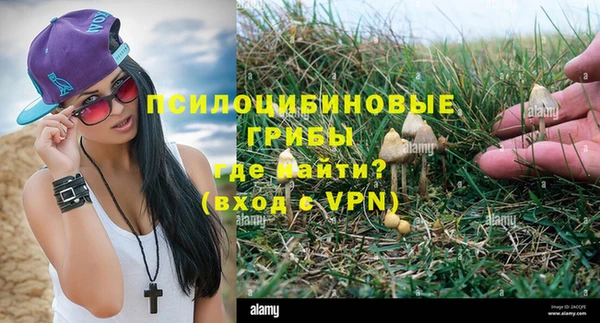 apvp Аркадак